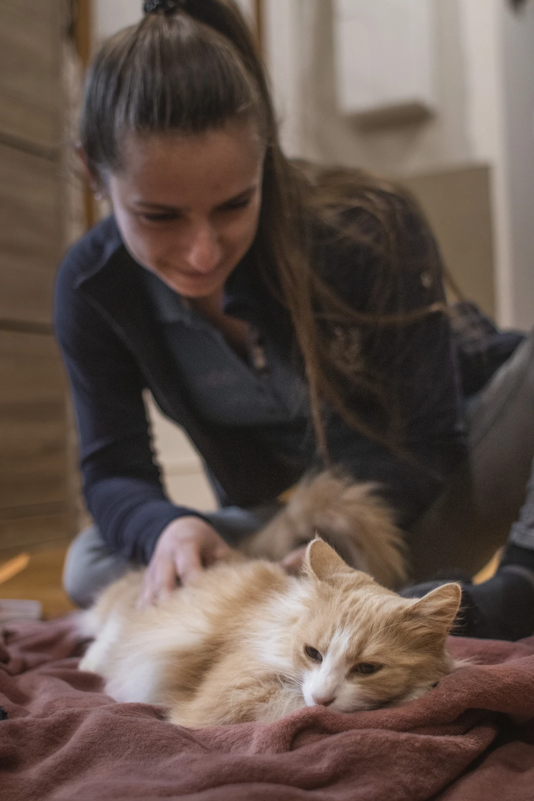 Ostéopathie Canine et Féline