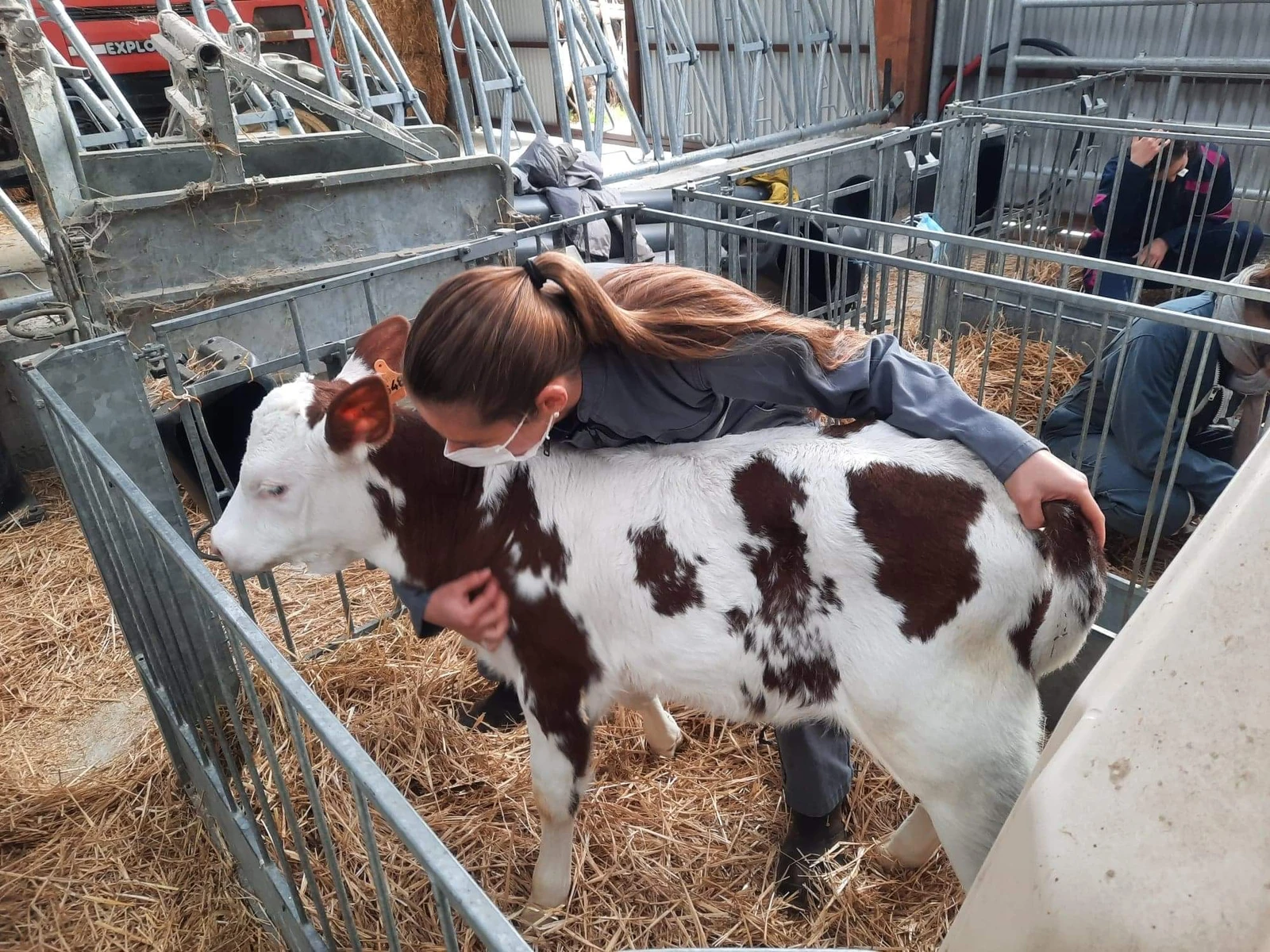 Ostéopathie des Animaux de Ferme