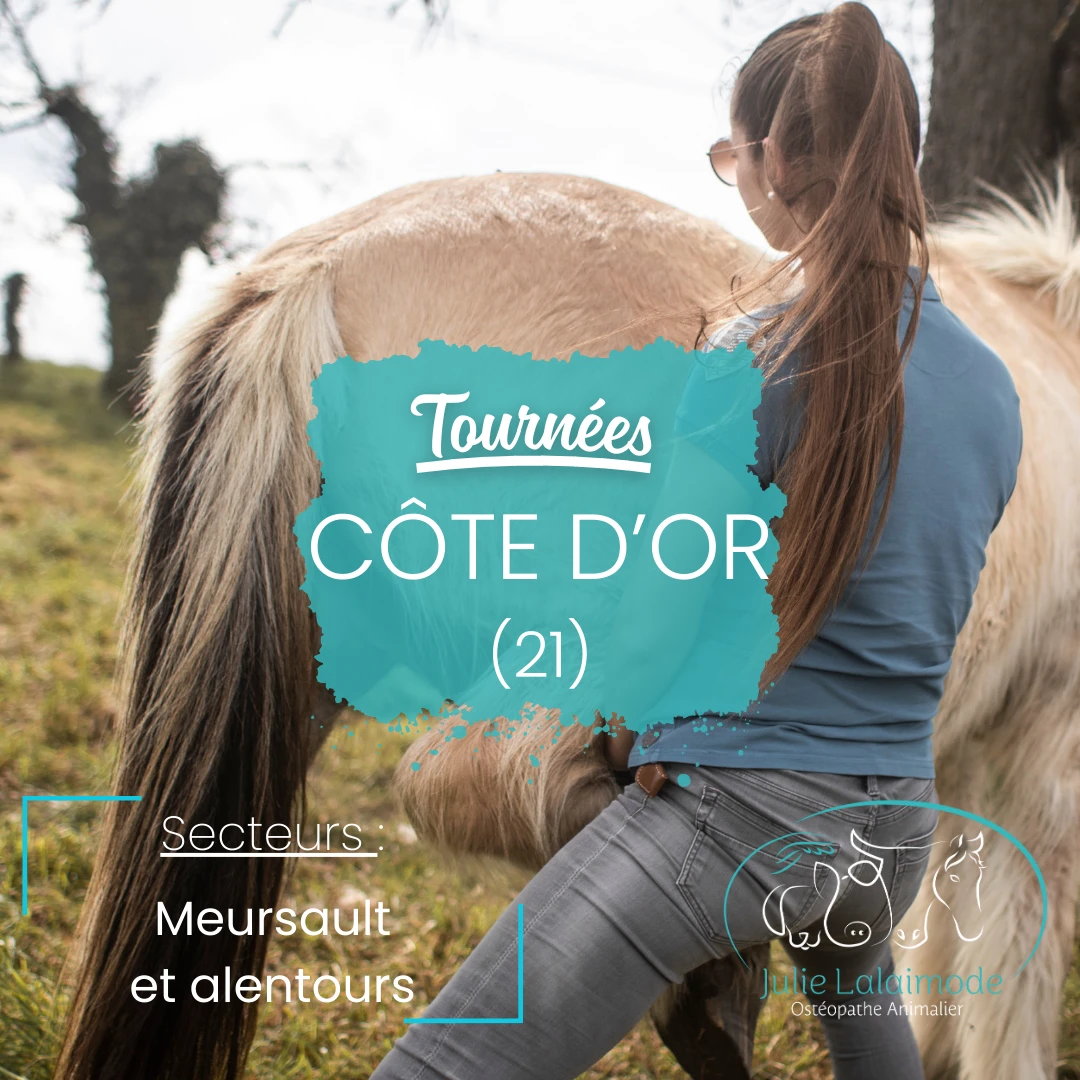 Tournée