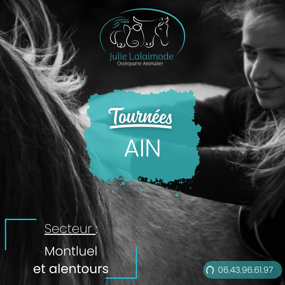Tournée