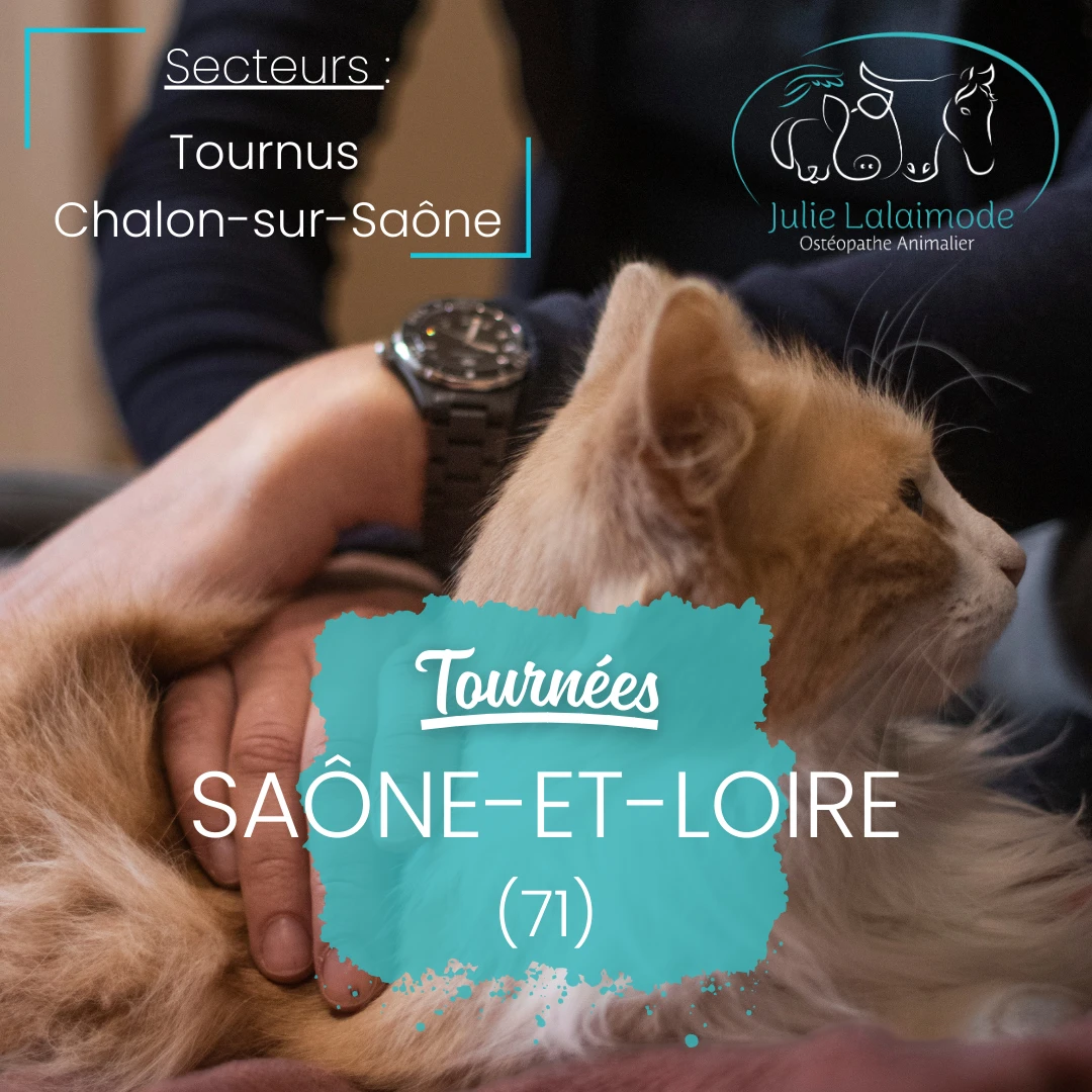 Tournée